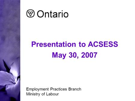 Presentation to ACSESS May 30, 2007 Employment Practices Branch Ministry of Labour.