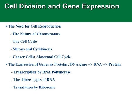 Cell Division and Gene Expression The Need for Cell Reproduction - The Nature of Chromosomes - The Cell Cycle - Mitosis and Cytokinesis - Cancer Cells: