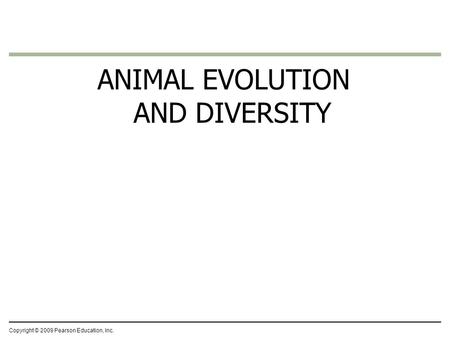 ANIMAL EVOLUTION AND DIVERSITY
