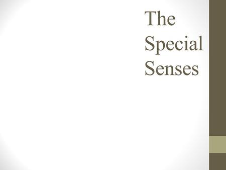 The Special Senses.