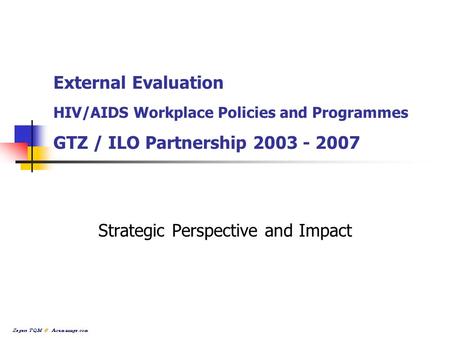 External Evaluation HIV/AIDS Workplace Policies and Programmes GTZ / ILO Partnership 2003 - 2007 Strategic Perspective and Impact.