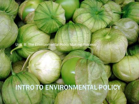 Unit 8: The Environmental Policy Making Process. Late Policy and Course Deadlines  No late work is accepted after the end of Unit 10  UNLESS you have.