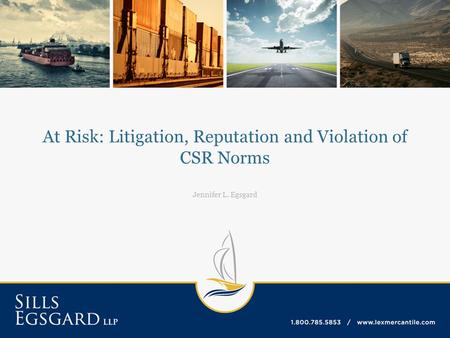 At Risk: Litigation, Reputation and Violation of CSR Norms Jennifer L. Egsgard.