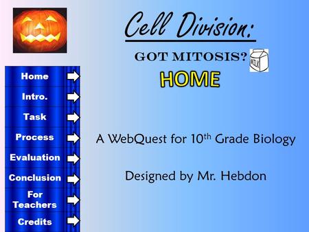 Cell Division: Got Mitosis?