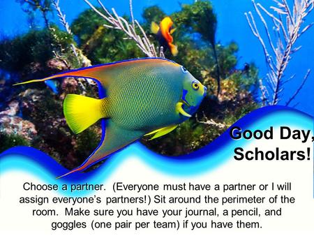 Good Day, Scholars! Choose a partner. (Everyone must have a partner or I will assign everyone’s partners!) Sit around the perimeter of the room. Make.