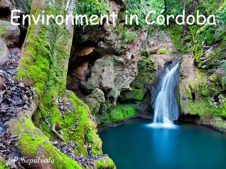 Environment in Córdoba. Environment means everything that surrounds a living or specially conditioned living circumstances of living things. It includes.
