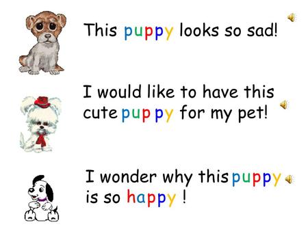 This looks so sad! I would like to have this cute for my pet! I wonder why this is so ! puppy puppy puppy happy.