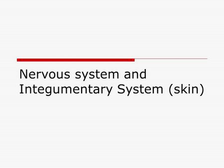 Nervous system and Integumentary System (skin)