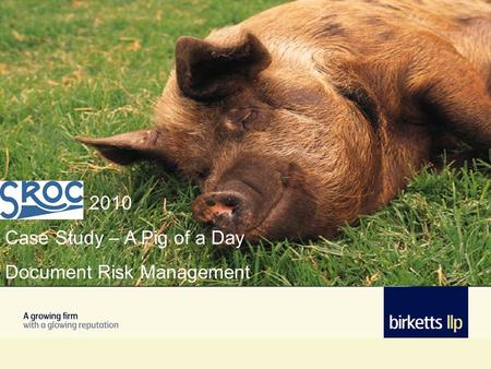 2010 Case Study – A Pig of a Day Document Risk Management.