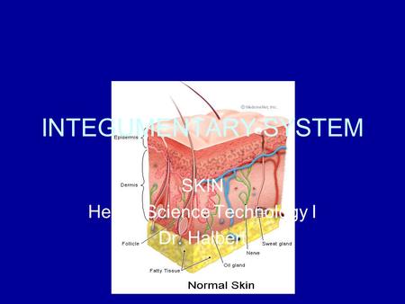 SKIN Health Science Technology I Dr. Halbert