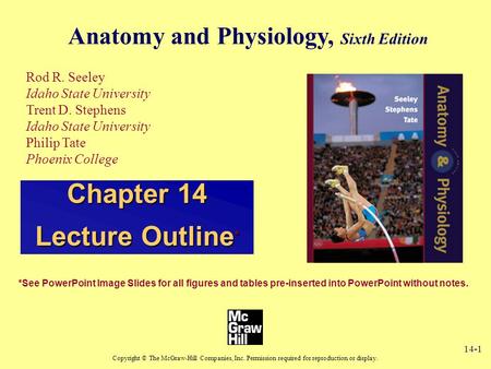 14-1 Anatomy and Physiology, Sixth Edition Rod R. Seeley Idaho State University Trent D. Stephens Idaho State University Philip Tate Phoenix College Copyright.