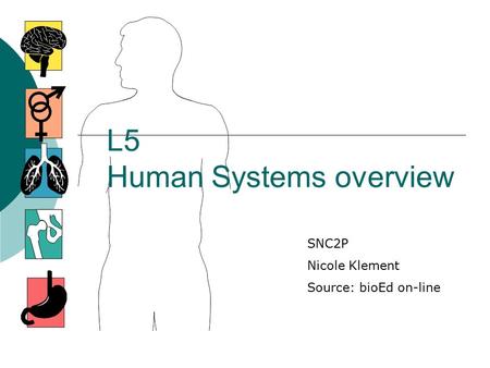 L5 Human Systems overview