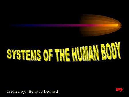 Created by: Betty Jo Leonard THE SKELETAL SYSTEM.