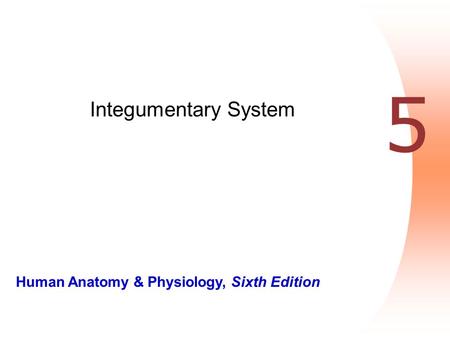 Integumentary System 5.