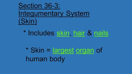 Section 36-3: Integumentary System (Skin)