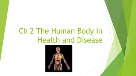Ch 2 The Human Body in Health and Disease. Overview  Anatomical Reference Systems: Descriptive terms used to describe the location of the body planes,
