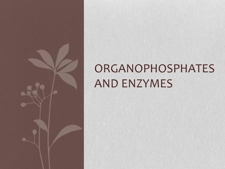 ORGANOPHOSPHATES AND ENZYMES. Neuron: A cell that transmits electrical or chemical signals in the body Neurotransmitter: A chemical that sends a signal.