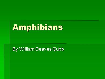 Amphibians By William Deaves Gubb.