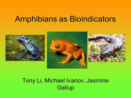 Amphibians as Bioindicators Tony Li, Michael Ivanov, Jasmine Gallup.