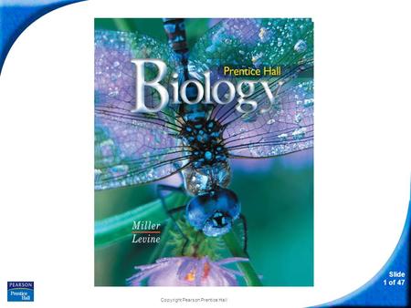 Slide 1 of 47 Copyright Pearson Prentice Hall Biology.