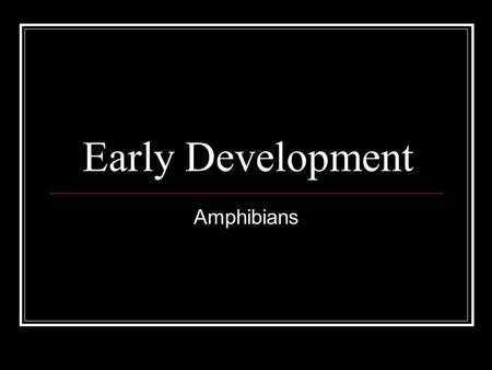 Early Development Amphibians.