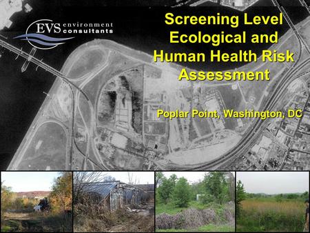 Screening Level Ecological and Human Health Risk Assessment Poplar Point, Washington, DC.