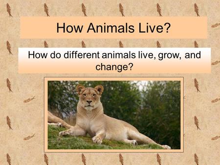 How do different animals live, grow, and change?
