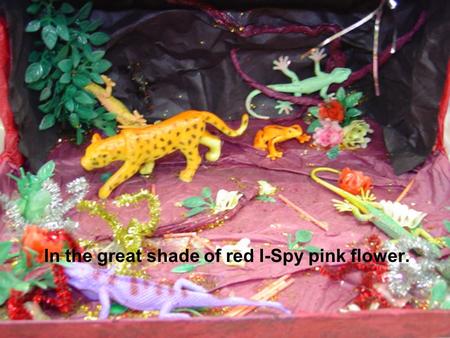 In the great shade of red I-Spy pink flower.. Congratulation!!! You found the pink flower! There are a lot of plants in the rainforest. Most of the plants.