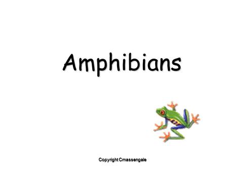 Amphibians Copyright Cmassengale. Evolution of Amphibians Copyright Cmassengale.