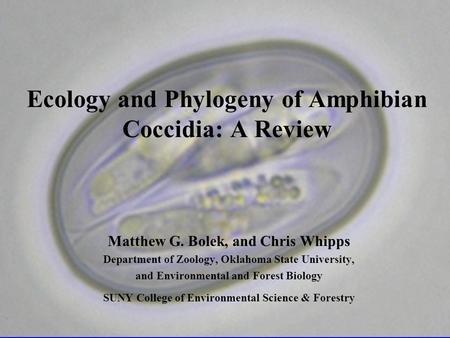 Ecology and Phylogeny of Amphibian Coccidia: A Review Matthew G. Bolek, and Chris Whipps Department of Zoology, Oklahoma State University, and Environmental.