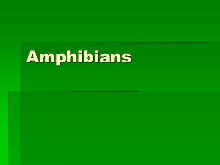 Amphibians Amphibians  Vertebrate (backbone)  Ectothermic (cold- blooded)  Must absorb heat from external sources  When environment becomes too hot.