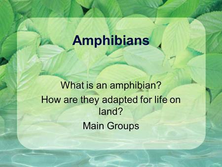 Amphibians What is an amphibian? How are they adapted for life on land? Main Groups.