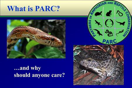 What is PARC? …and why should anyone care?. “To conserve amphibians, reptiles, and their habitats as integral parts of our ecosystem and culture through.