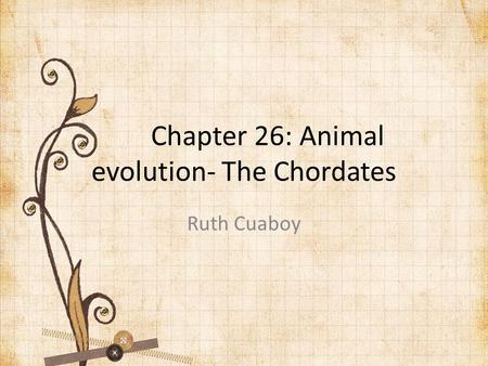Chapter 26: Animal evolution- The Chordates