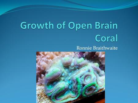 Ronnie Braithwaite. Focus of Research The project explored the effect that feeding has on the growth of the open brain coral Other characteristics of.