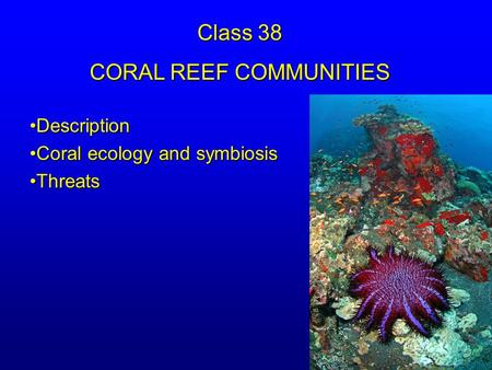 DescriptionDescription Coral ecology and symbiosisCoral ecology and symbiosis ThreatsThreats Class 38 CORAL REEF COMMUNITIES.