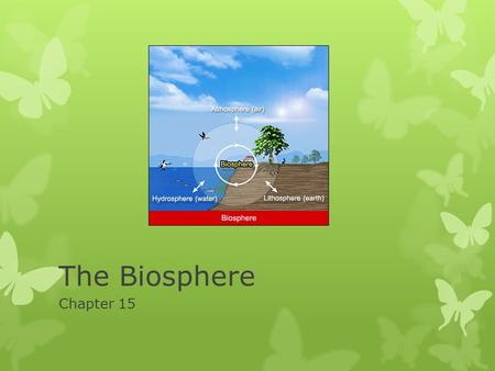 The Biosphere Chapter 15.