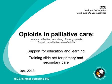 Opioids in palliative care: safe and effective prescribing of strong opioids for pain in palliative care of adults Support for education and learning Training.
