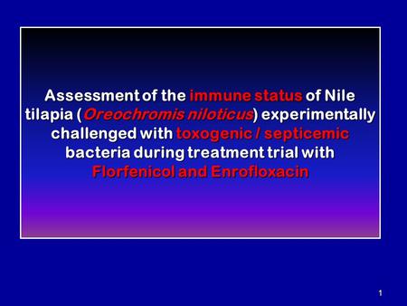 Assessment of the immune status of Nile tilapia (Oreochromis niloticus) experimentally challenged with toxogenic / septicemic bacteria during treatment.