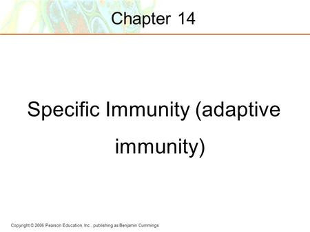 Copyright © 2006 Pearson Education, Inc., publishing as Benjamin Cummings Chapter 14 Specific Immunity (adaptive immunity)