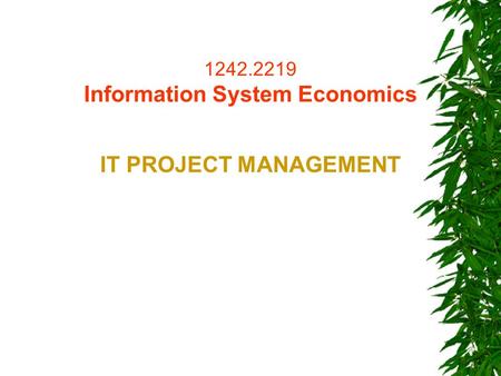 1242.2219 Information System Economics IT PROJECT MANAGEMENT.