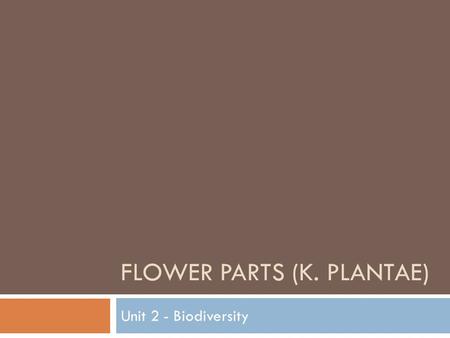 Flower Parts (K. Plantae)
