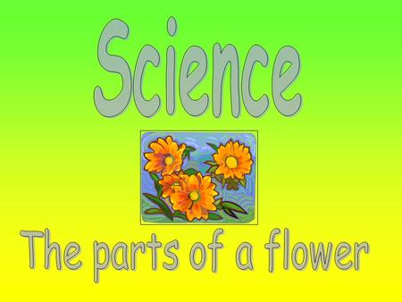 We will learn that plants produce flowers which have male and female organs. We will learn that seeds are formed when pollen from the male organ fertilizes.