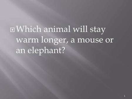 Which animal will stay warm longer, a mouse or an elephant?