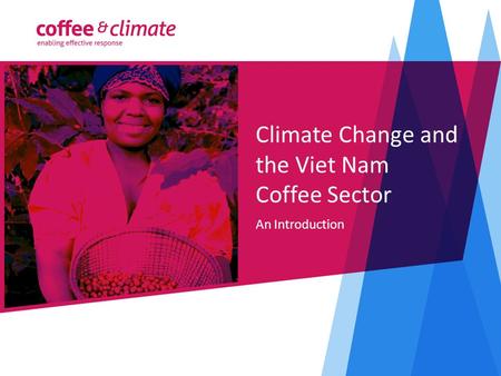 Climate Change and the Viet Nam Coffee Sector An Introduction.