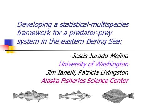 Developing a statistical-multispecies framework for a predator-prey system in the eastern Bering Sea: Jesús Jurado-Molina University of Washington Jim.