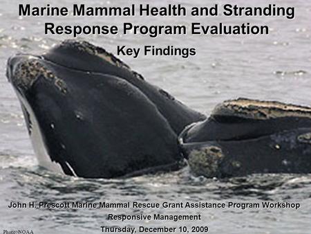 Marine Mammal Health and Stranding Response Program Evaluation Key Findings John H. Prescott Marine Mammal Rescue Grant Assistance Program Workshop Responsive.
