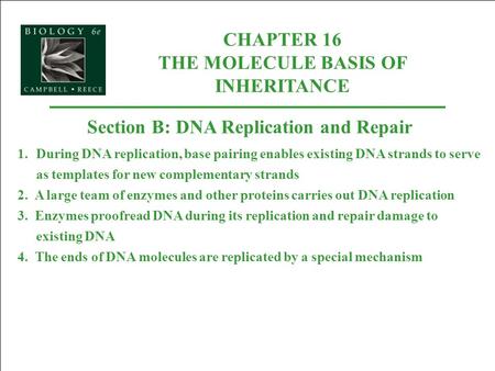 CHAPTER 16 THE MOLECULE BASIS OF INHERITANCE Section B: DNA Replication and Repair 1.During DNA replication, base pairing enables existing DNA strands.