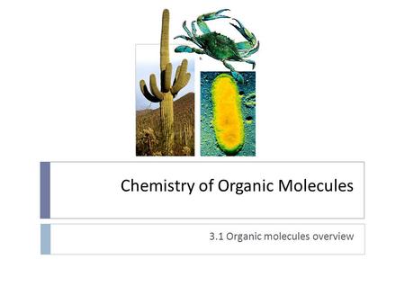 Chemistry of Organic Molecules