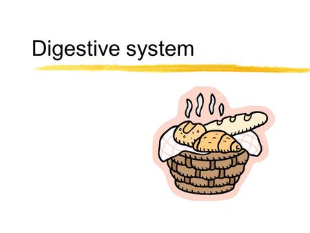 Digestive system. Learning objectives zTo outline the digestive system and metabolism. zTo identify the source of energy. zTo describe the process of.